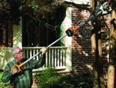 Electria-Branch-Saw-with-extension